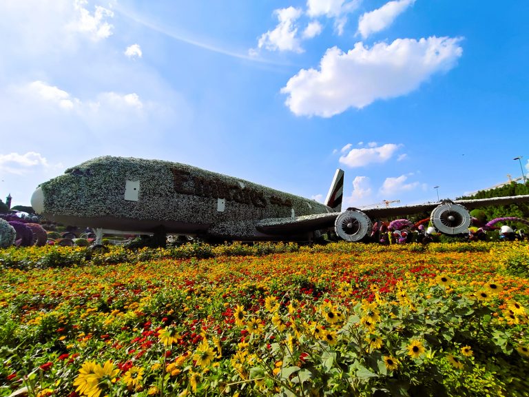 Dubai - Miracle Garden