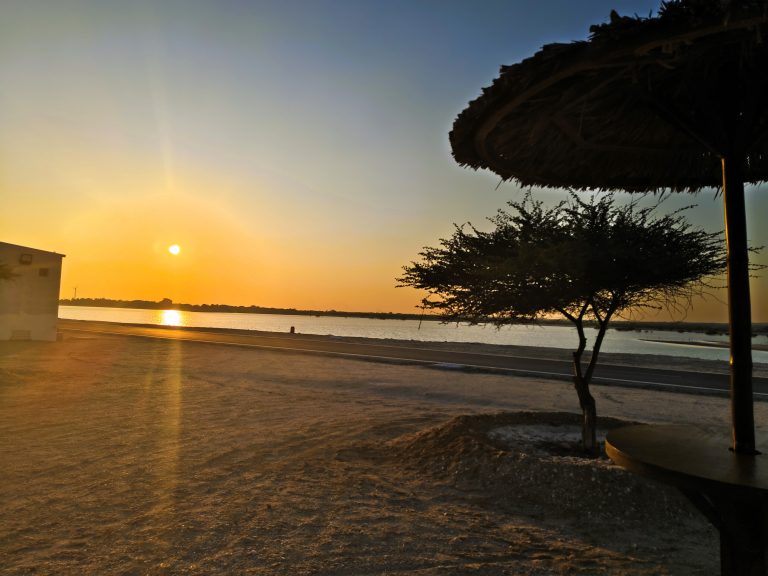 Sir Bani Yas - Strandinsel